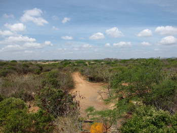 Parque Nacional Sarigua photo 3