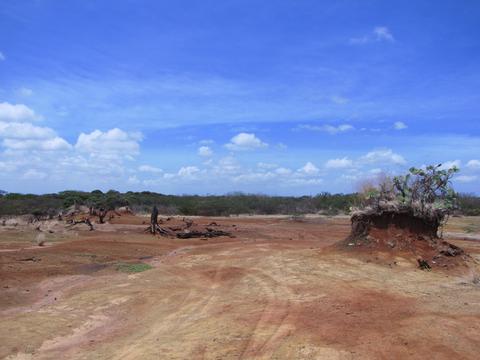Sarigua National Park Panama