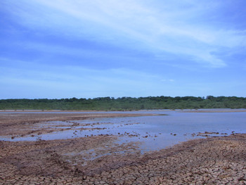 Parque Nacional Sarigua photo 2
