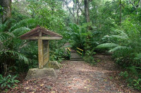 Soberania National Park Panama