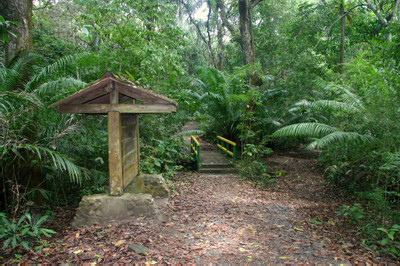 Panama - Parque Nacional Soberanía