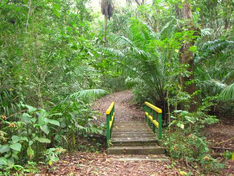 Parque Nacional Soberanía Panama