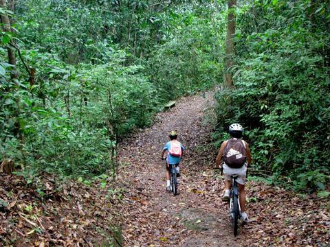 Soberania National Park Panama