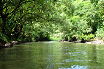 Penas Blancas River photo 3