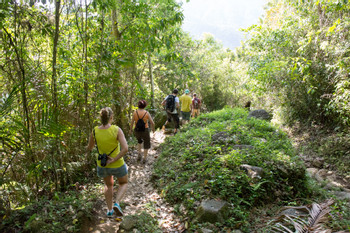 Parque Nacional Pico Turquino photo 2