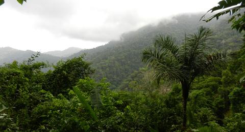 Pirre Station Panama