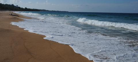 Playa Paunch Attraction Panama