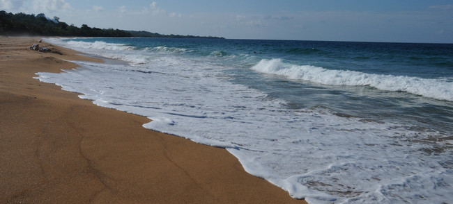 Playa Paunch Attraction