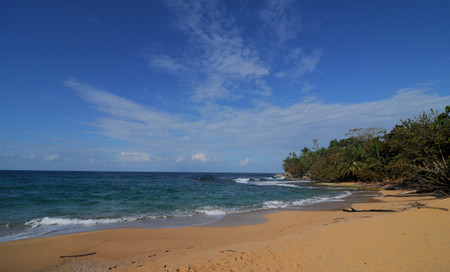 Playa Paunch Attraction photo 3