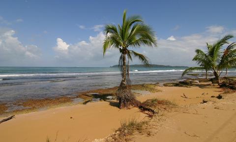 Playa Paunch Panama