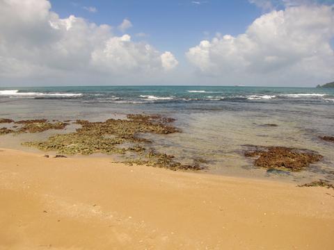 Playa Paunch Panama