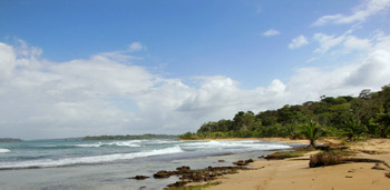 Playa Paunch photo 3