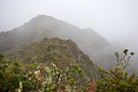 Podocarpus National Park Ecuador