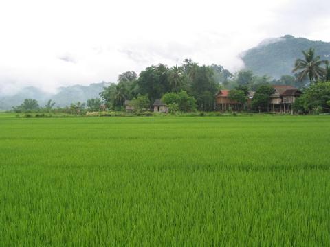 Pom Coong Village Vietnam