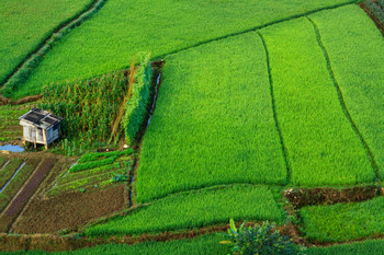 Pom Coong Village photo 3