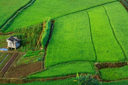 Pom Coong Village photo 3