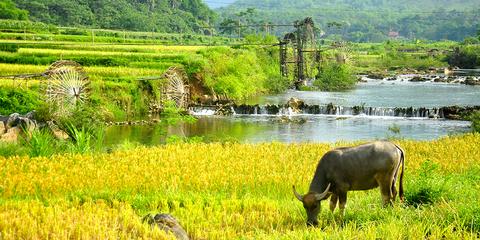 Pu Luong Nature Reserve Vietnam