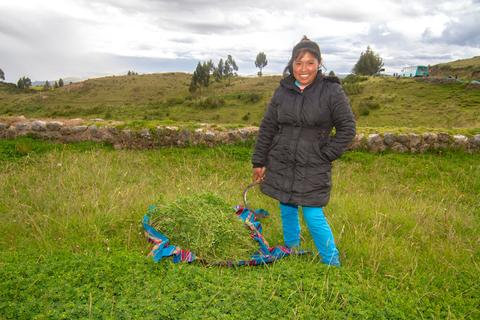 Puca Pucara Peru