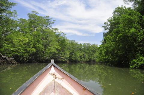 Punta Patino Nature Reserve Panama