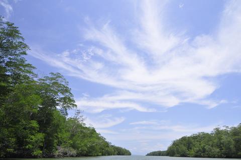 Punta Patino Nature Reserve Panama