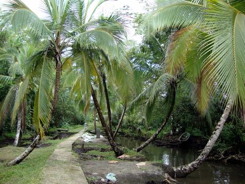 Quebrada de Sal Panama