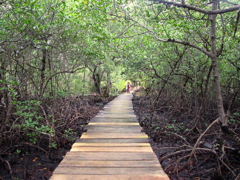 2023 Panama Visitor Guide: Red Frog Beach, Panama