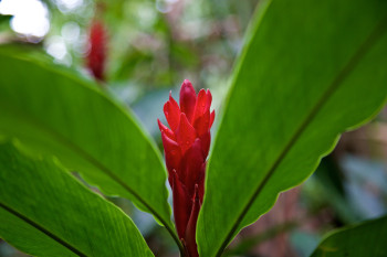 Río Blanco National Park photo 3