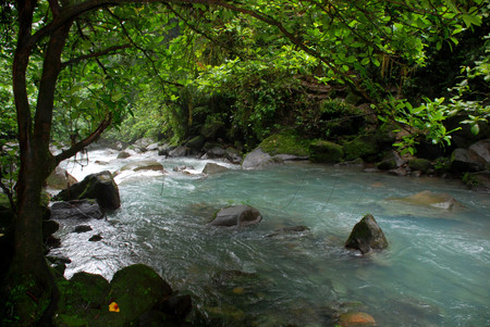 Río Celeste photo 2