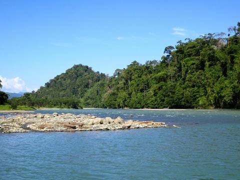 Teribe River Panama