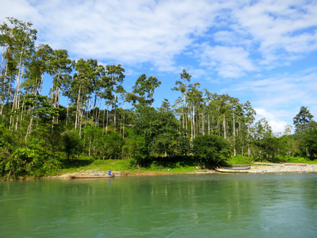 Teribe River photo 3