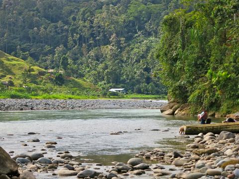 Teribe River Panama