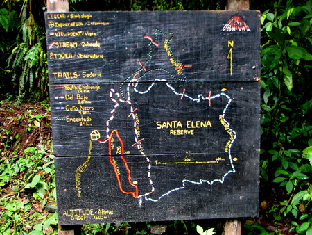 Santa Elena Cloud Forest Reserve photo 3