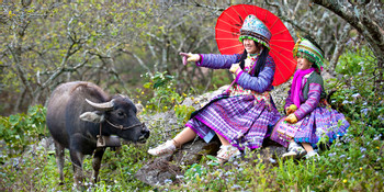 Sapa Love Market photo 3