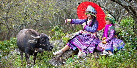 Sapa Love Market photo 3