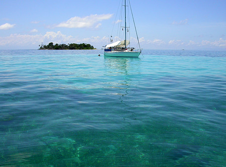 Sapodilla Cayes Marine Reserve photo 3