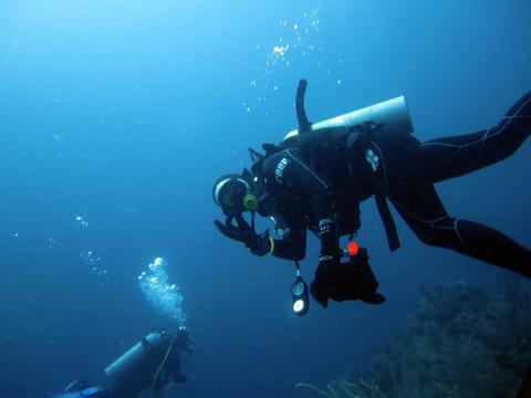 Sapodilla Cayes Marine Reserve Belize