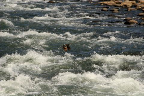 Río Sarapiquí Costa Rica