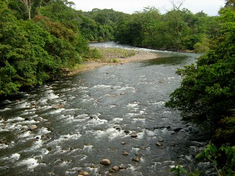 Sarapiqui River Costa Rica