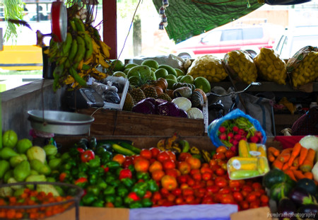 Saturday Farmers Market photo 3