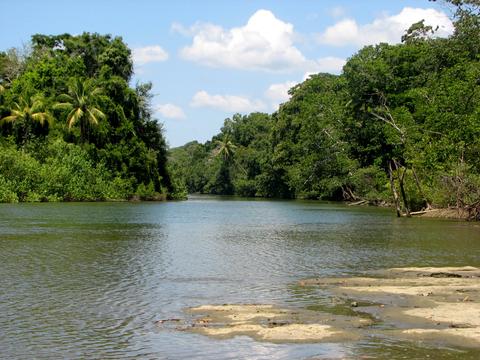 Estación Biológica Sirena Costa Rica