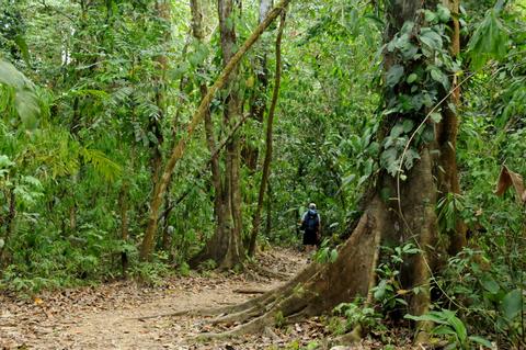 Estación Biológica Sirena Costa Rica