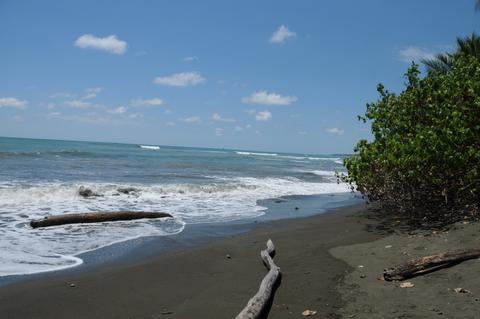 Sirena Biological Station Costa Rica