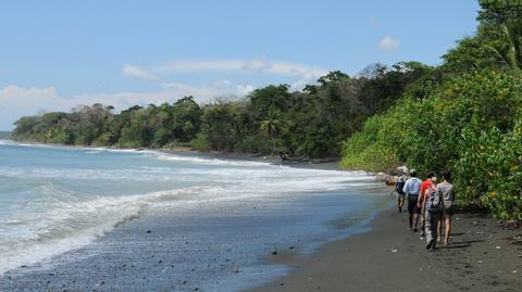 Estación Biológica Sirena Costa Rica