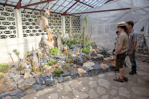 Soledad Botanical Garden Cuba