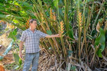 Jardín Botánico Soledad photo 2