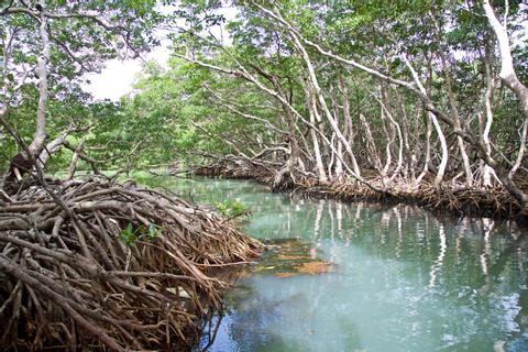 Reserva Marina Cayo Aguas del Sur Belize