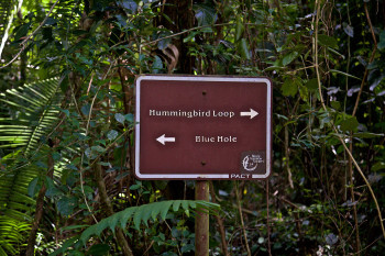 St. Herman's Blue Hole National Park photo 3