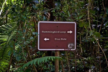St. Herman's Blue Hole National Park photo 3