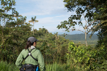 Sumaco Napo National Park photo 3