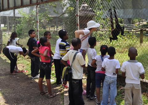 Summit Botanical Gardens and Zoo Panama